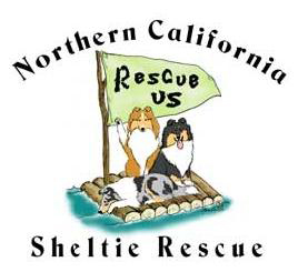 Norcal Sheltie Rescue, Inc.